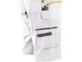 Kraťasy CXS STRETCH pánske, bielo-šedé