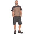 STANMORE šortky