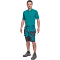 DAYBORO šortky