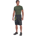 SHELDON šortky