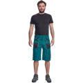 FF CARL BE-01-009 šortky