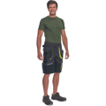SHELDON šortky