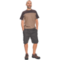 STANMORE šortky