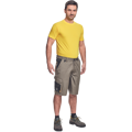 CREMORNE šortky