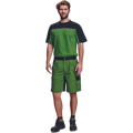 STANMORE šortky