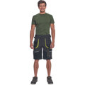 SHELDON šortky