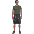 SHELDON šortky