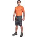 EMERTON PLUS šortky