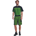 STANMORE šortky