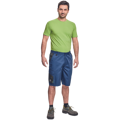 CREMORNE šortky