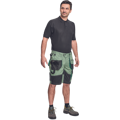 DAYBORO šortky