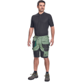 DAYBORO šortky
