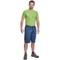 CREMORNE šortky