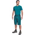 CREMORNE šortky