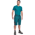 CREMORNE šortky