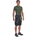 SHELDON šortky