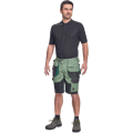 DAYBORO šortky
