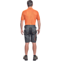 EMERTON PLUS šortky