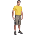 CREMORNE šortky